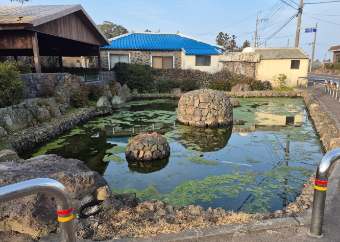 제주시, 습지·용천수 ‘제주다움’ 되살린다