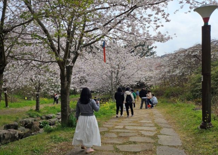 서귀포시, 봄 축제에서 골목상권까지 … 문화·체육행사로 지역경제 달군다