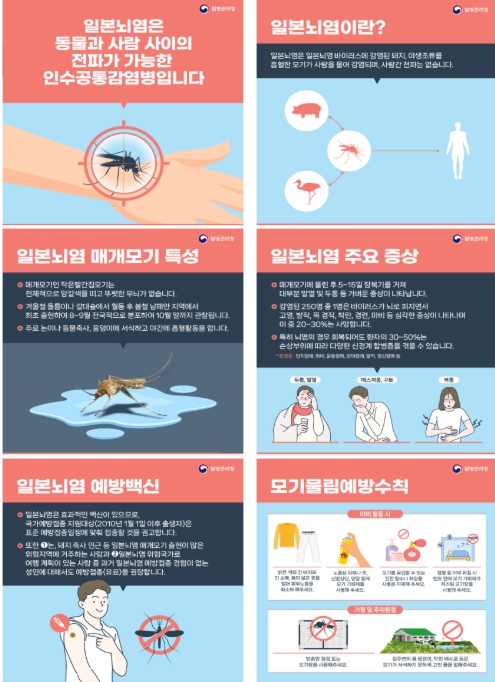 제주에서 올해 첫 일본뇌염 매개모기 확인.…주의보 발령에 예방수칙 당부