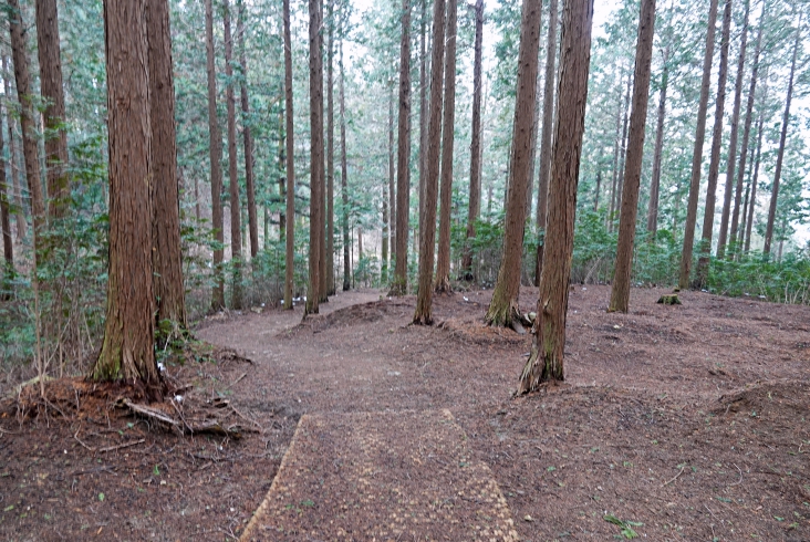 전북에서 봄을 느껴 봄, 가볼 만한 봄 여행지 추천