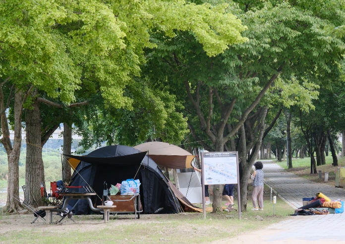 명품 휴양지 영동 송호관광지, 봄과 함께 오는 4월 3일 야영장 개장