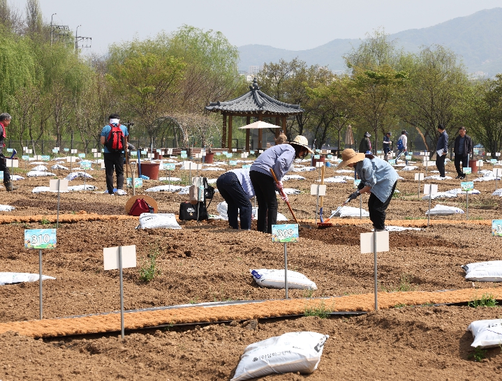 강남구, 구민 호응 힘입어 힐링텃밭 확대…수서동 힐링텃밭 신규 개장