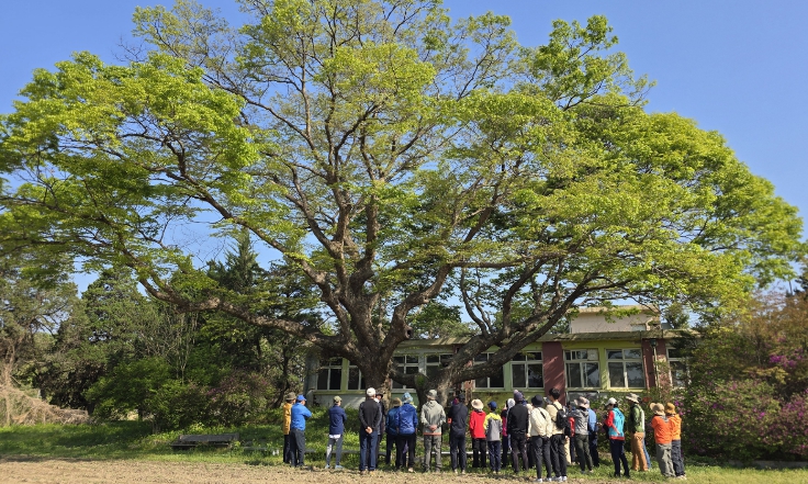 단종유배길 따라 걷는 4월 원주역사문화트레킹 개최