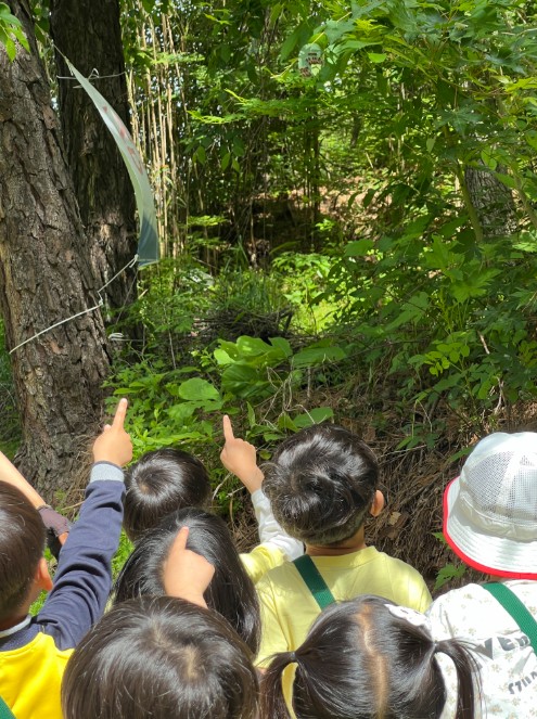 대전시교육청 유아교육진흥원, 계절별 숲놀이를 체험으로 유아 생태감수성 키운다-
