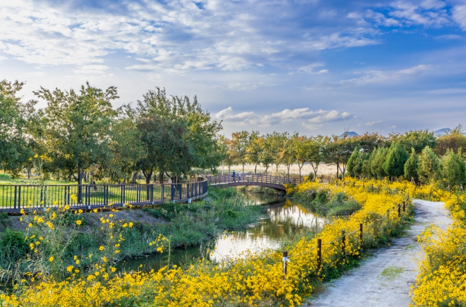 부안군, 줄포만 노을빛 정원 체험 프로그램 시범 운영