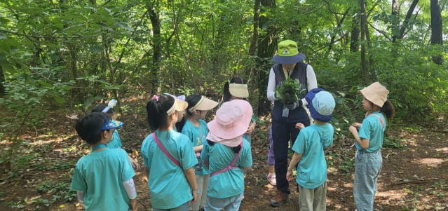 울산 남구 ‘도심 속 힐링명소’ 솔마루길 4월부터 숲해설 프로그램 운영