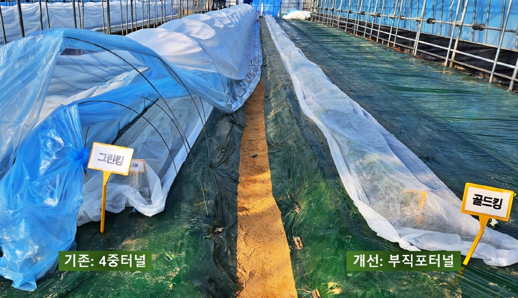 원자재값 극복, 충북농기원 수박  '경영비 절감 가이드' 제시