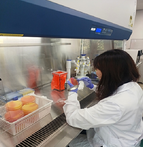 대구시, 봄 신학기 학교급식 ‘식중독균 불검출’… 식판 위 안전 확인