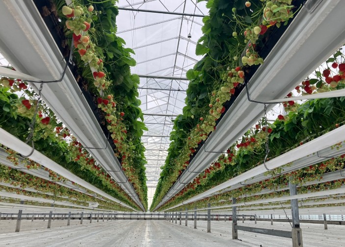 경남도, '청년농 ‘기회의 땅’ 열린다' 청년농업인분양 스마트농업단지 조성 본궤도!