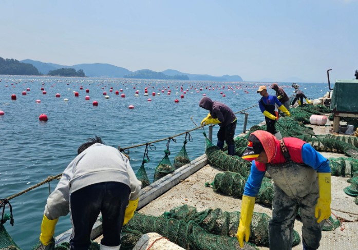 경남도, ‘모패 산란장 조성’ 사업 확대 추진