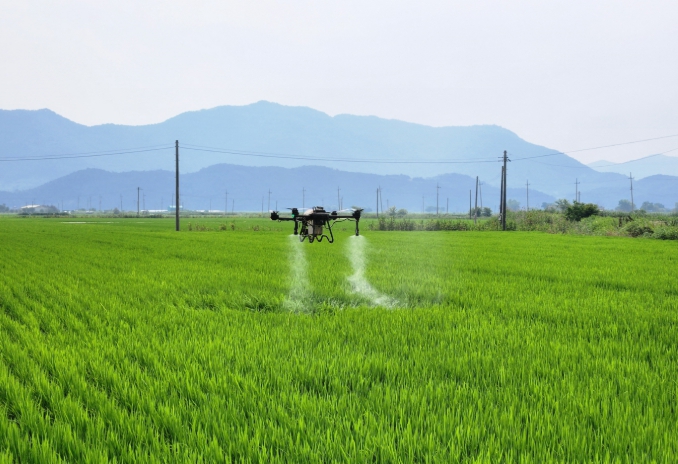 순천시, 벼 병해충 공동 항공방제 지원 사업 신청 접수