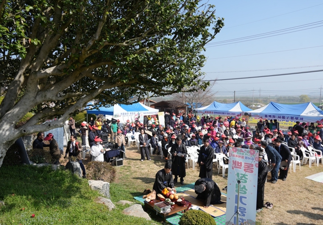 나주시 500년 동백 아래 봄을 나누다…왕곡면 금사정 동백축제 성황
