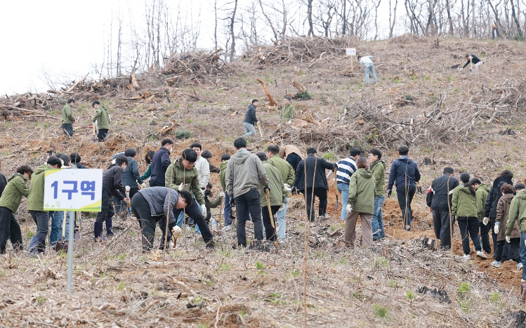 함평군, 제81회 식목일 맞아 산불 피해지 나무심기 행사 성료