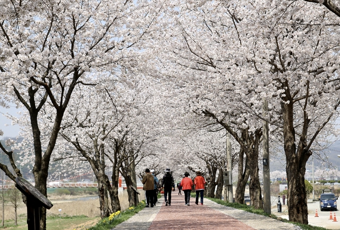 올봄엔 어디 갈까? '음성'의 힐링 명소를 찾아서