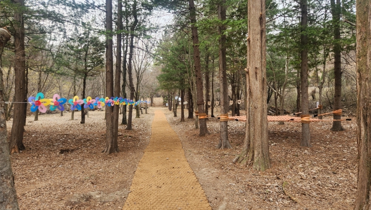 충북도, 자연학습원 ‘숲생태정원’ 본격 개방