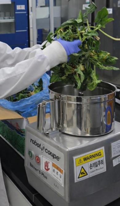 경남보건환경연구원, 봄철 농산물 안전 검사 완료...'안심 먹거리 지킨다'