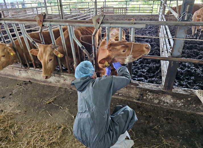 전남동물위생시험소, 구제역 백신 일제접종 모니터링