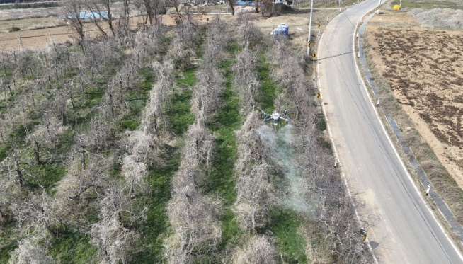 예산군 농업기술센터, 미관리(방치) 과원 드론 사전방제 실시