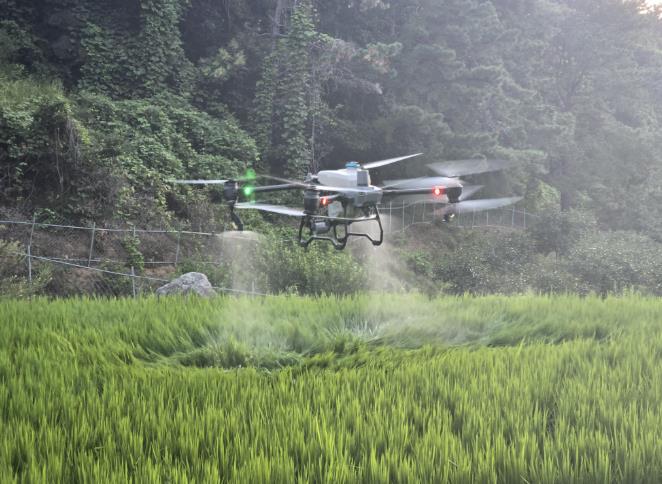 김천시, 드론 활용 농작물 '스마트 방제'로 농촌 일손 돕는다