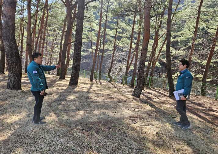 차광인 영양군 부군수, ‘하천·계곡 불법정비 현장 점검’