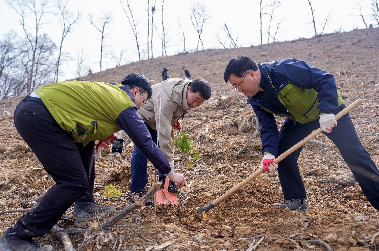 증평군, 제81회 식목일 기념 맞아 4500그루 소나무 식재