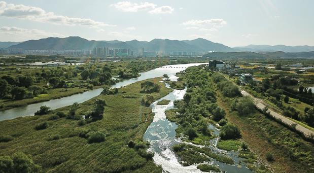 대구 동구, 안심습지 생태 탐방 프로그램 운영