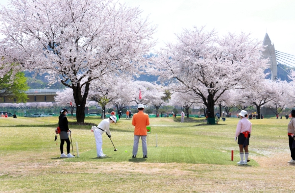 밀양시, 제20회 밀양시장배 전국 파크골프대회 성료