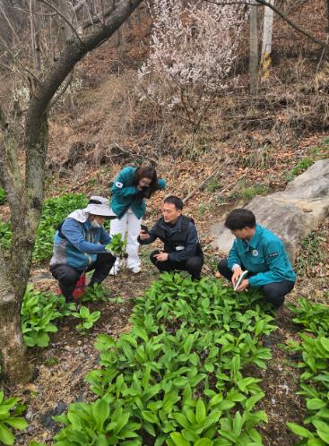 김천시, 로컬푸드 출하 농가 현장 점검 나서 “내가 키운 농산물 맞나?” 
