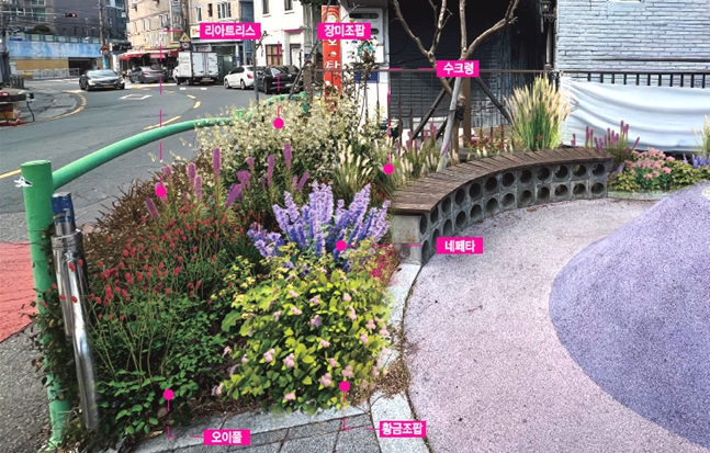 부산 중구, ‘정원속의 도시 부산’ 실현을 위한 생활 속 정원 조성 본격 추진