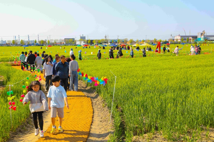 군산꽁당보리축제, 보리랑 봄이랑 21번째 이야기