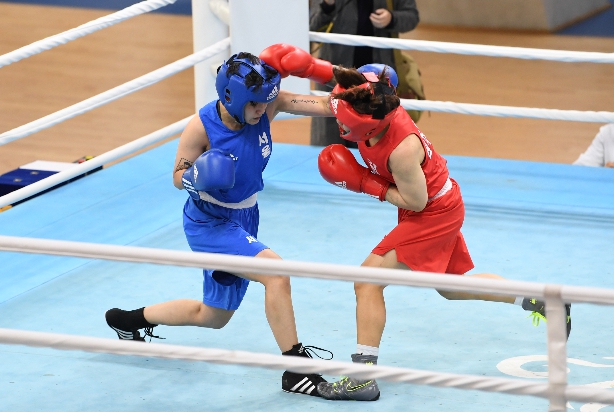 국내 최대 규모 복싱대회, 영주에서 막 오른다