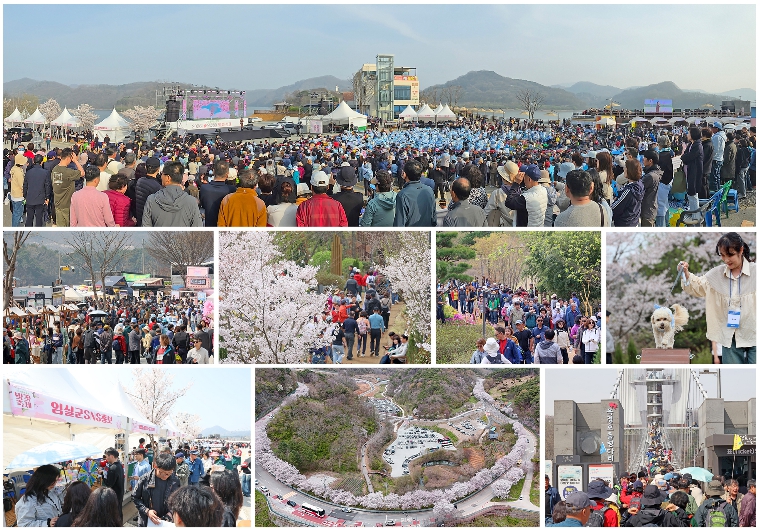 2026 임실 옥정호 벚꽃축제, 역대 최대 인파 기록 또 갱신
