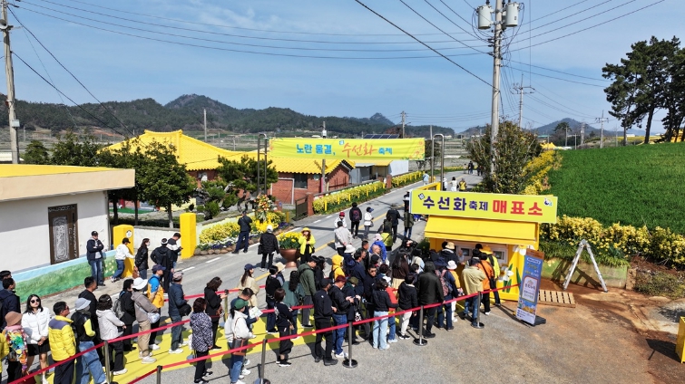 신안군 ‘2026 섬 수선화 축제’ 성공적으로 마무리