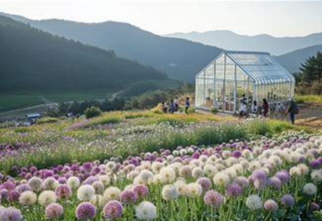 봉화군, 행정안전부 청년마을 만들기 공모사업 최종 선정