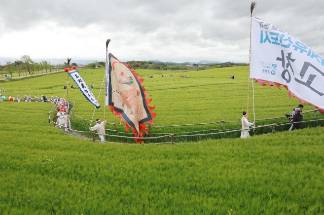 [기획보도]봄의 기억, 길 위에 남다 ‘제23회 고창청보리밭축제’, 18일(토) 개막