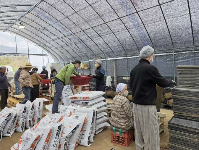 용인특례시, '볍씨 충분히 싹 틔운 후 파종' 당부