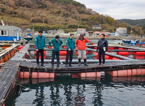 저수온 피해는 없다! 경남도, 저수온 피해 예방에 온힘