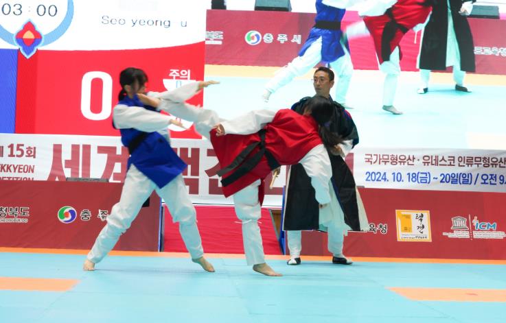 충주시 2024년 한국택견협회, 택견 대중화와 세계화의 성과를 빛내다.