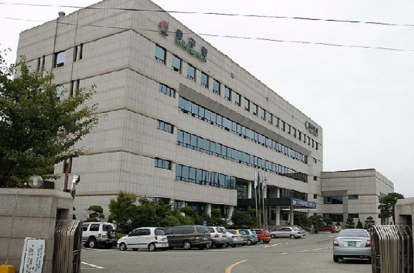 2025년 대왕암 해맞이 축제 전면 취소